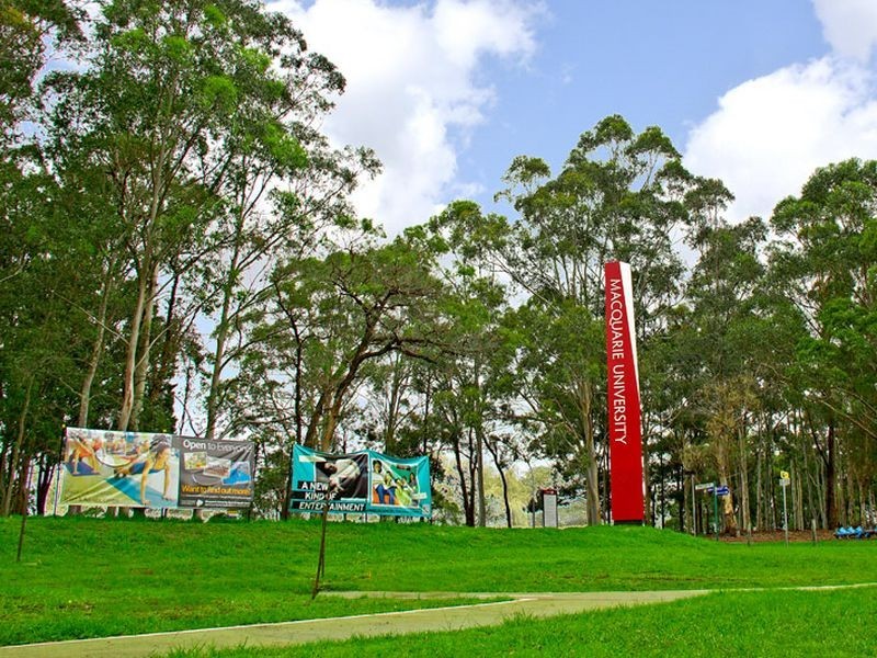 128 Herring Road, Macquarie Park NSW 2113