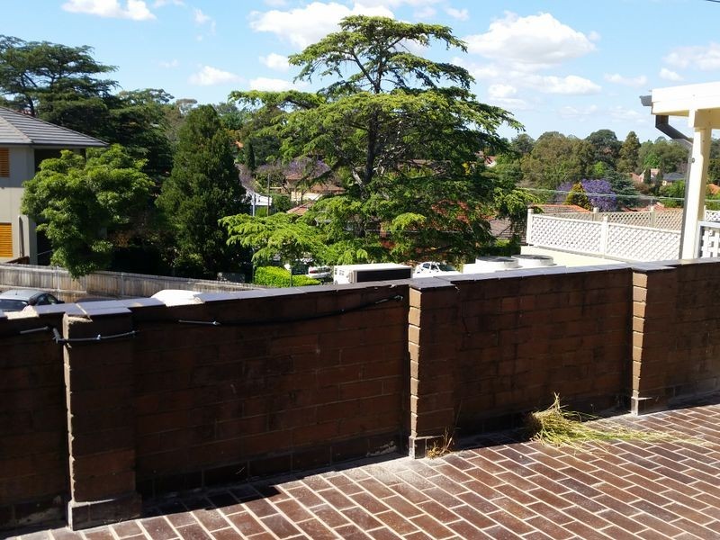 79B Balaclava Road, Marsfield NSW 2122