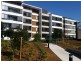 305S/5 Lardelli Drive, Ryde NSW 2112