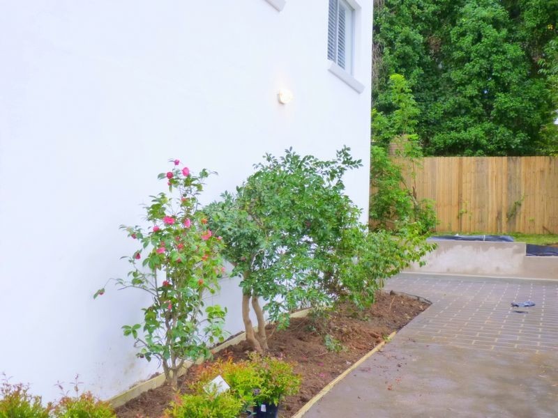 1/36 FIRST AVE, Eastwood NSW 2122