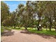Wamberal NSW 2260