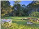 636 The Scenic Road, Macmasters Beach NSW 2251