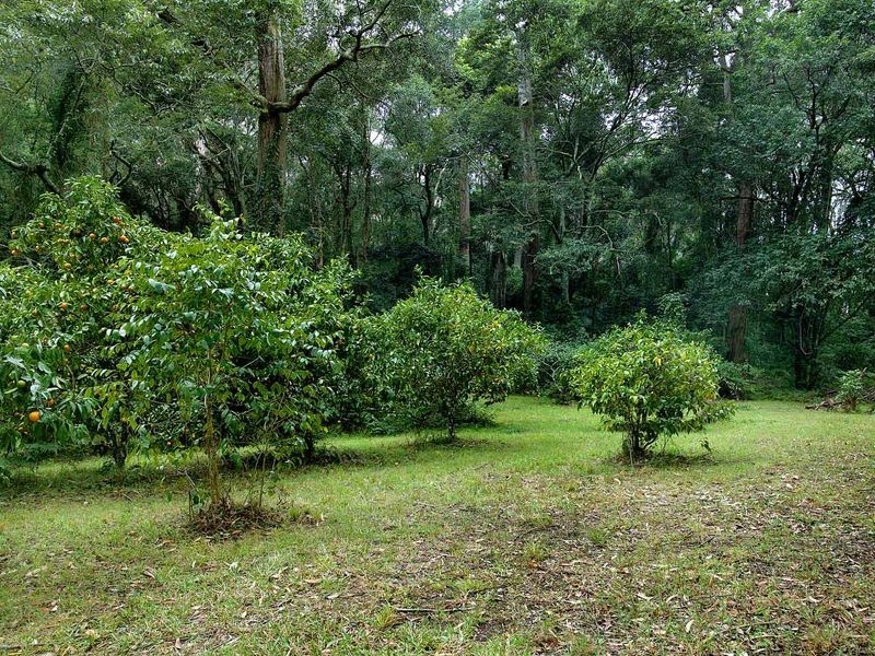 636 The Scenic Road, Macmasters Beach NSW 2251