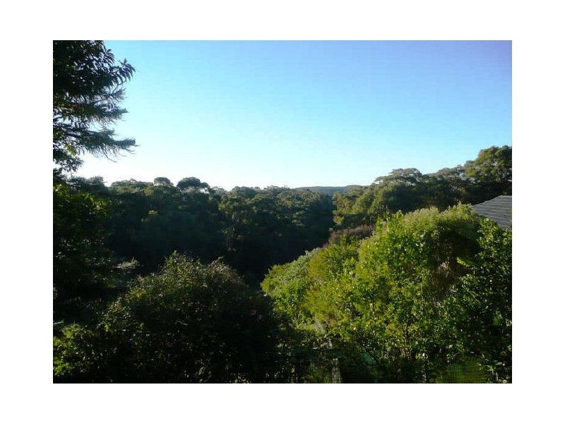 223 Scenic Highway, Terrigal NSW 2260