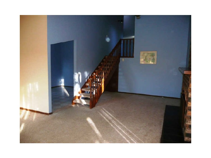 223 Scenic Highway, Terrigal NSW 2260