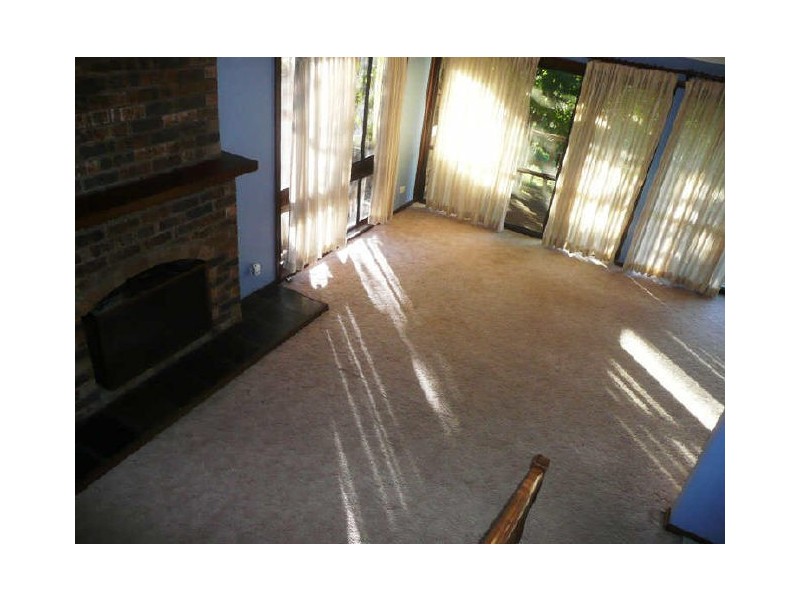 223 Scenic Highway, Terrigal NSW 2260