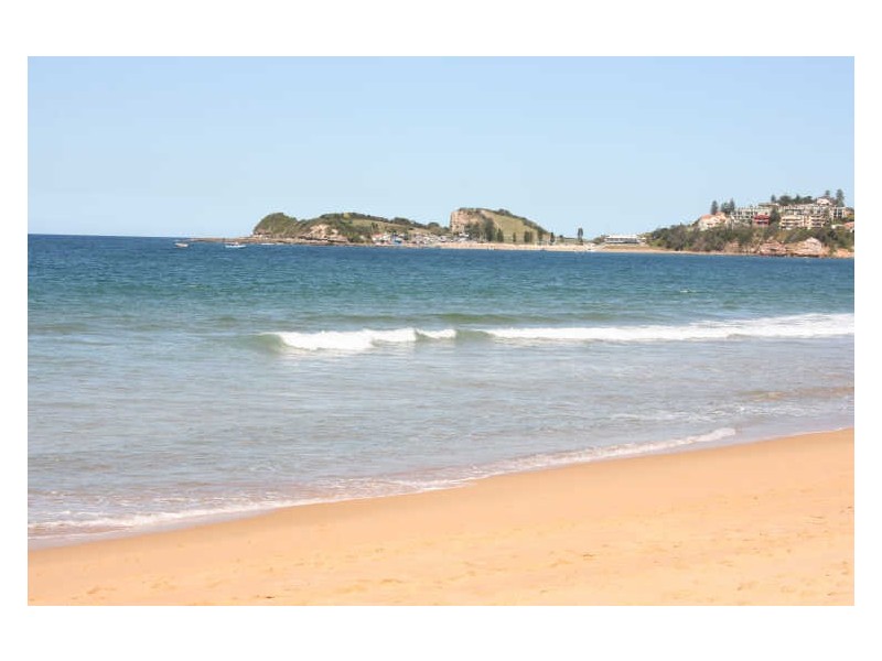 51 Ocean View Drive, Wamberal NSW 2260
