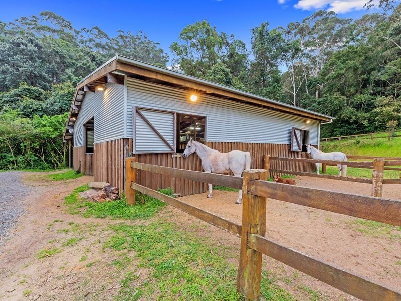 6/357 Wattle Tree Road, Holgate NSW 2250