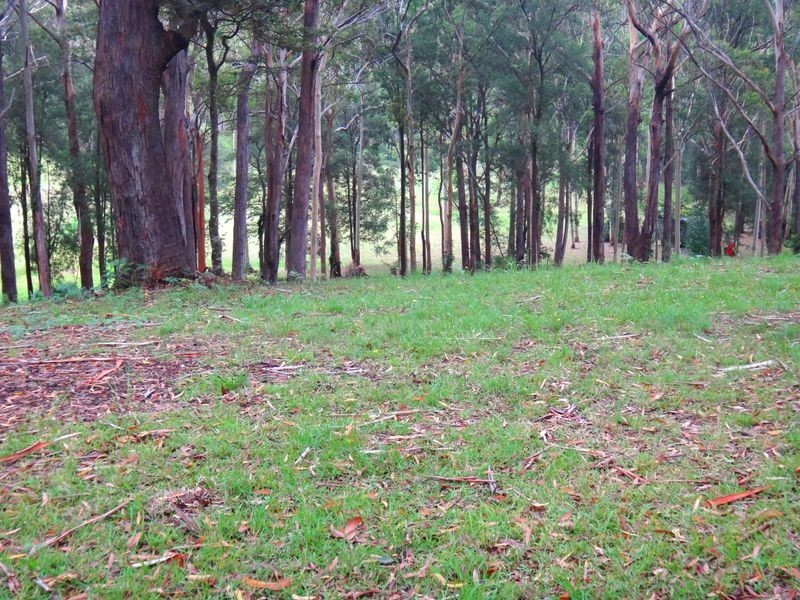 33 Serpentine Road, Erina Heights NSW 2260