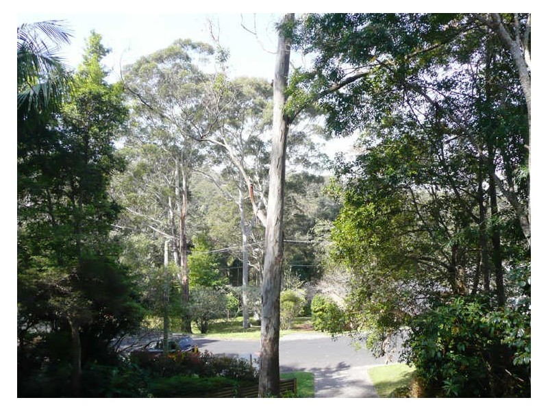 53 Lakeshore Drive, North Avoca NSW 2260
