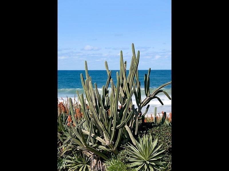 32 North Avoca Parade, North Avoca NSW 2260