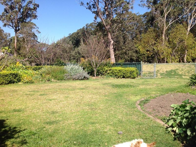 Wamberal NSW 2260