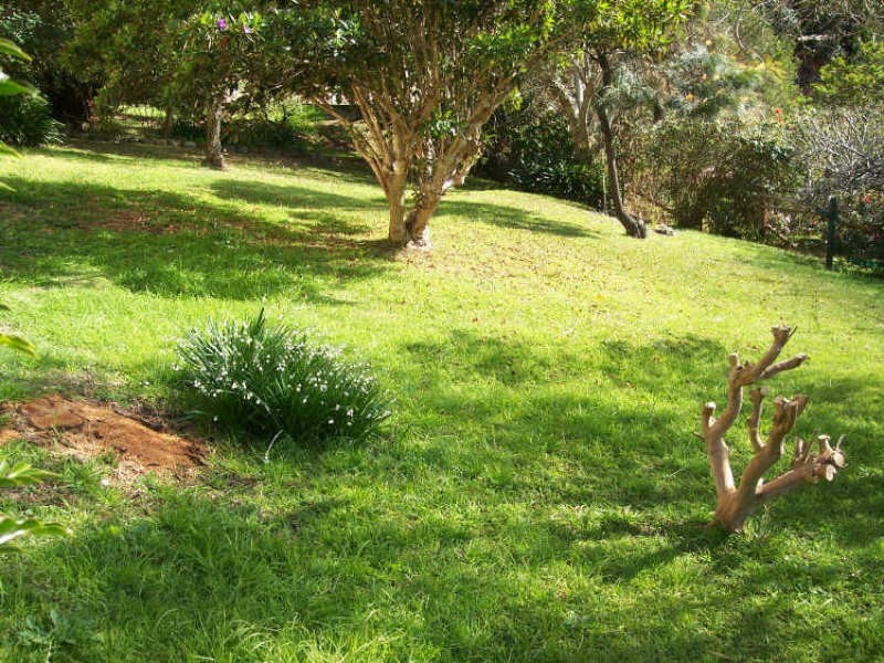 25 Parry Avenue, Terrigal NSW 2260