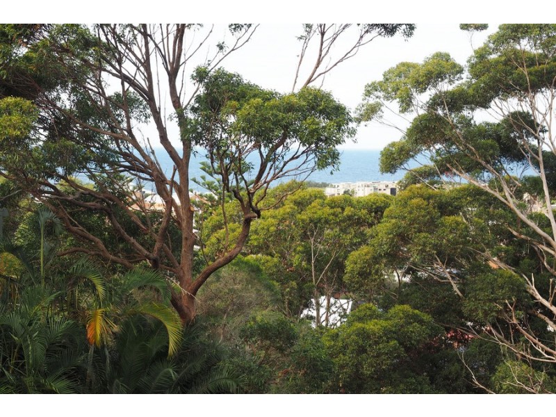 33 Kurrawyba Avenue, Terrigal NSW 2260