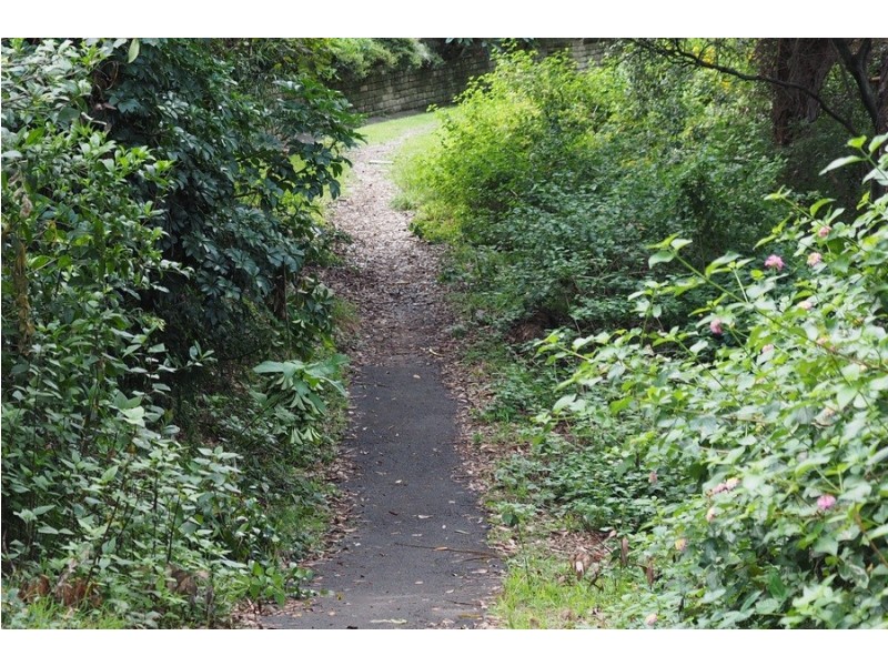 33 Kurrawyba Avenue, Terrigal NSW 2260