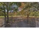 48 Wattle Tree Road, Holgate NSW 2250