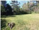 9 Llewellyn Street, Saratoga NSW 2251