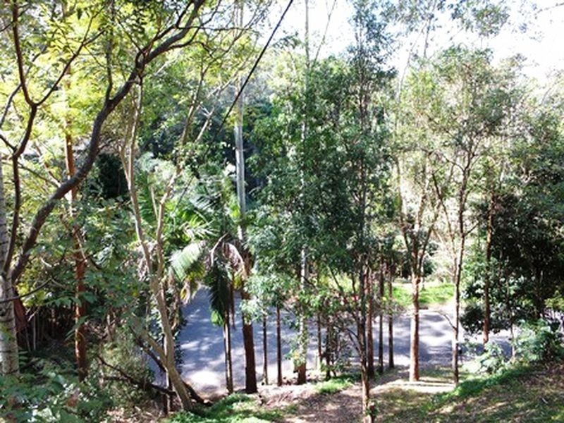 14 Palmgrove Place, North Avoca NSW 2260