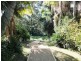 321 Scenic Highway, Terrigal NSW 2260