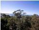 113 Scenic Highway, Terrigal NSW 2260