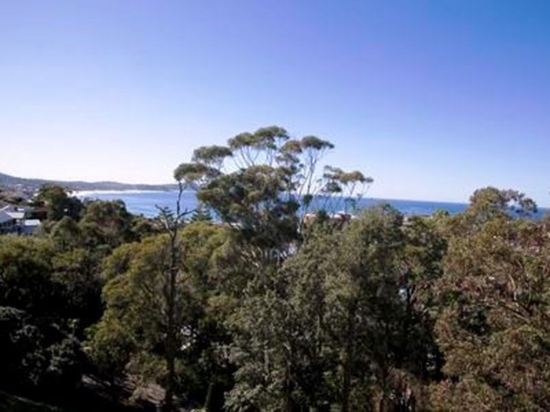 113 Scenic Highway, Terrigal NSW 2260