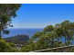 7 John Gray Close, Terrigal NSW 2260
