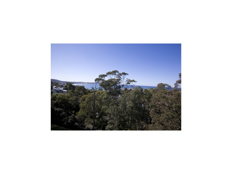 113 Scenic Highway, Terrigal NSW 2260