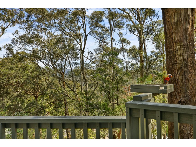 26 Francis Road, North Avoca NSW 2260