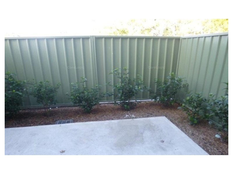 2/21 Jarrett Street, North Gosford NSW 2250