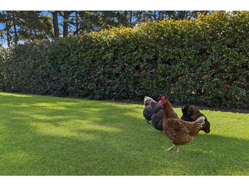 66 Grants Road, Somersby NSW 2250