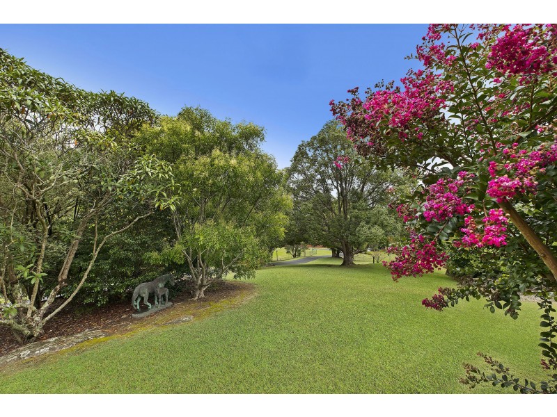 15 Treeline Close, Narara NSW 2250