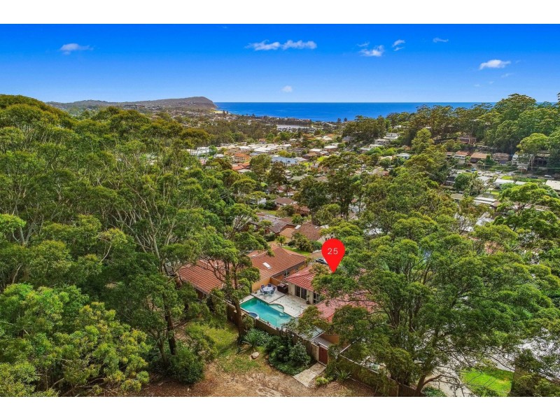 25 Tilanbi Close, Terrigal NSW 2260