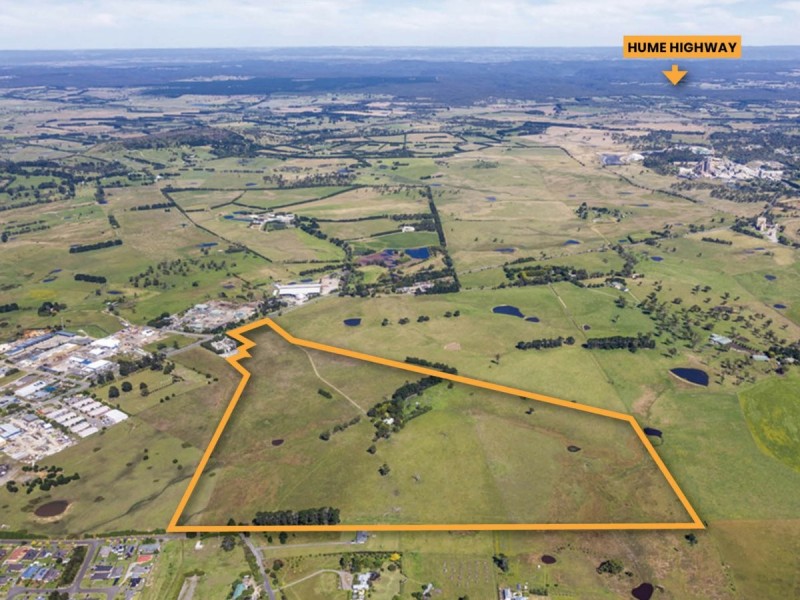 28 Maitland Road, Springfield NSW 2250