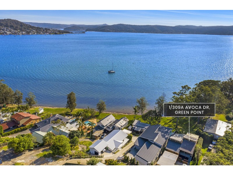 1/309a Avoca Drive, Green Point NSW 2251
