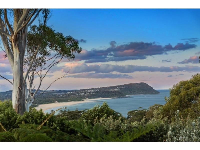 161 Scenic Highway, Terrigal NSW 2260
