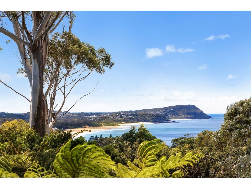 161 Scenic Highway, Terrigal NSW 2260