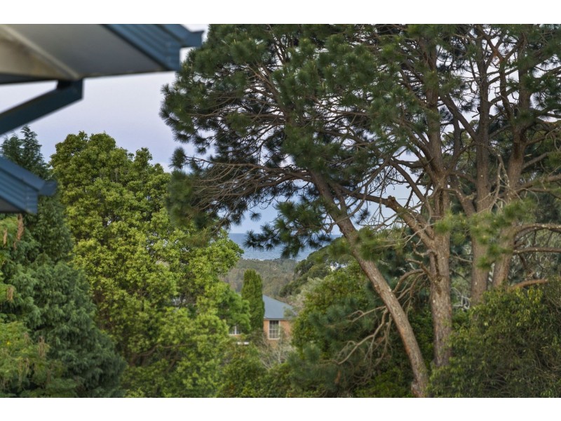 344 Scenic Highway, Terrigal NSW 2260