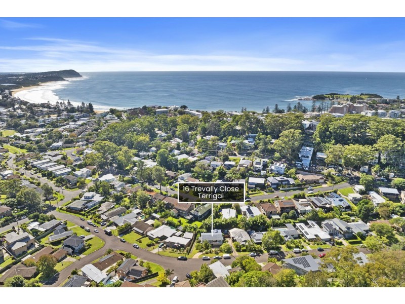 16 Trevally Close, Terrigal NSW 2260