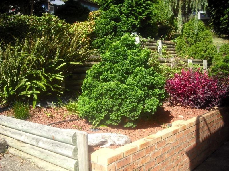 23B Casino Street, Terrigal NSW 2260