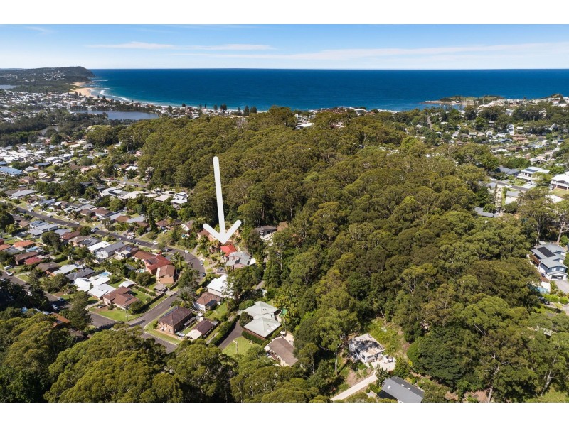 49 Ashley Avenue, Terrigal NSW 2260