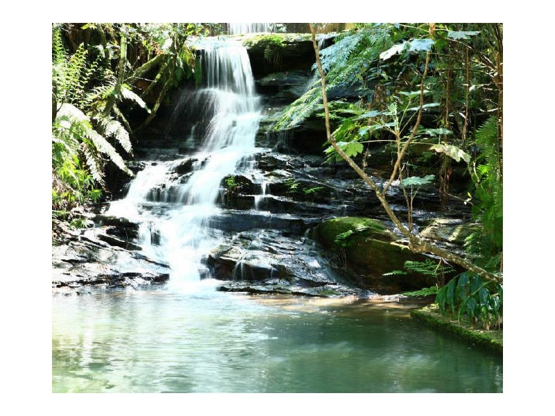 Peats Ridge NSW 2250