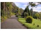Wamberal NSW 2260