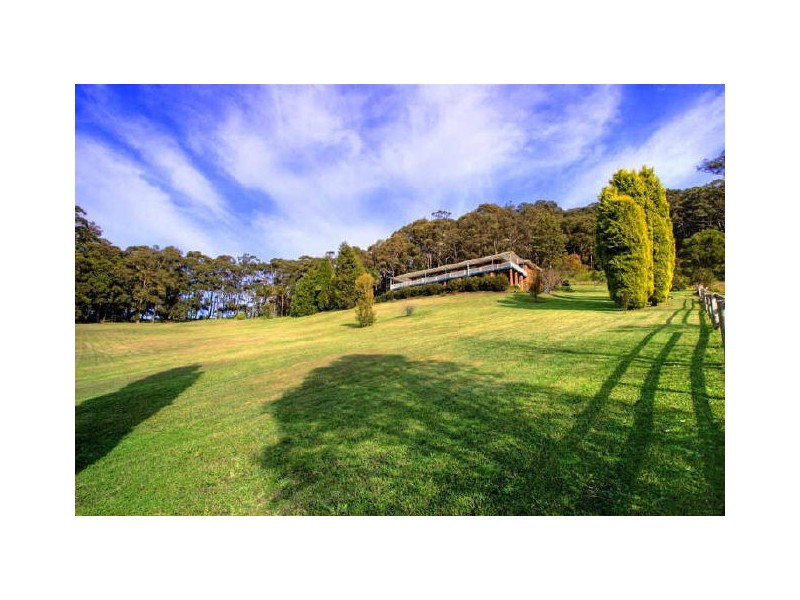 Wamberal NSW 2260