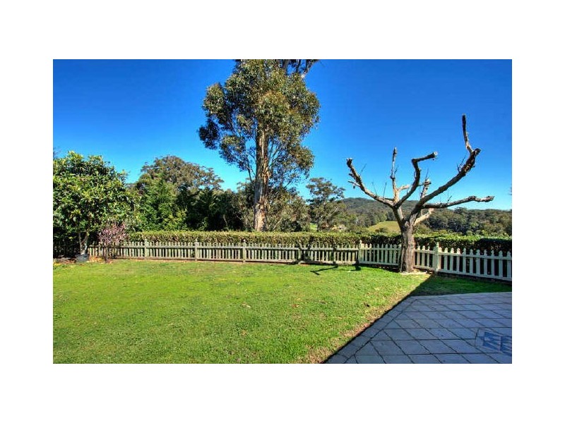 Terrigal NSW 2260