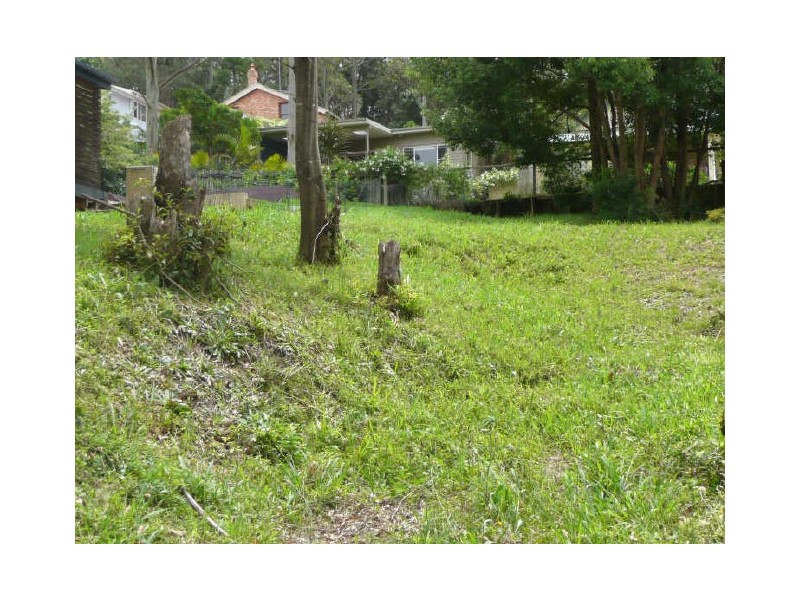81 Digby Road, Springfield NSW 2250