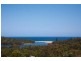 Wamberal NSW 2260
