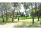 Wamberal NSW 2260