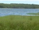 Wamberal NSW 2260