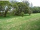Wamberal NSW 2260