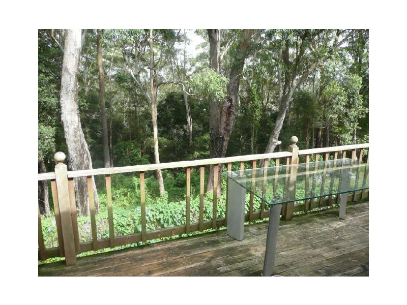 Terrigal NSW 2260